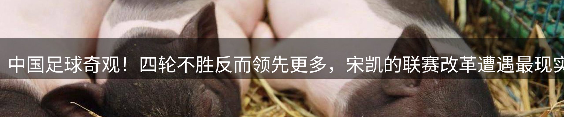 行业前瞻