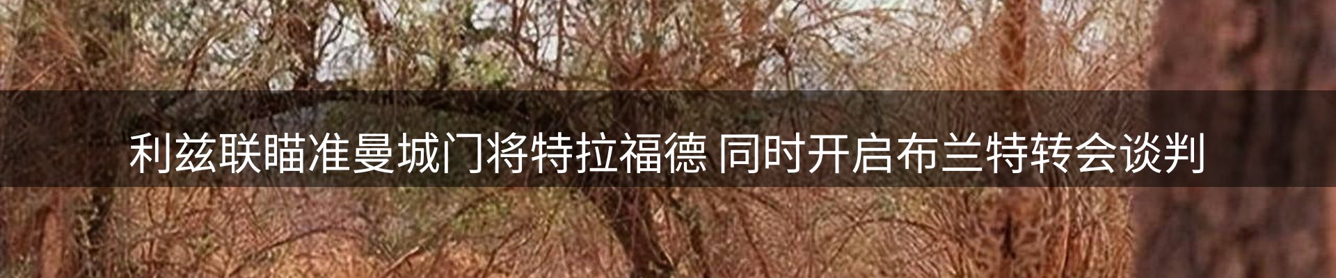 行业前瞻
