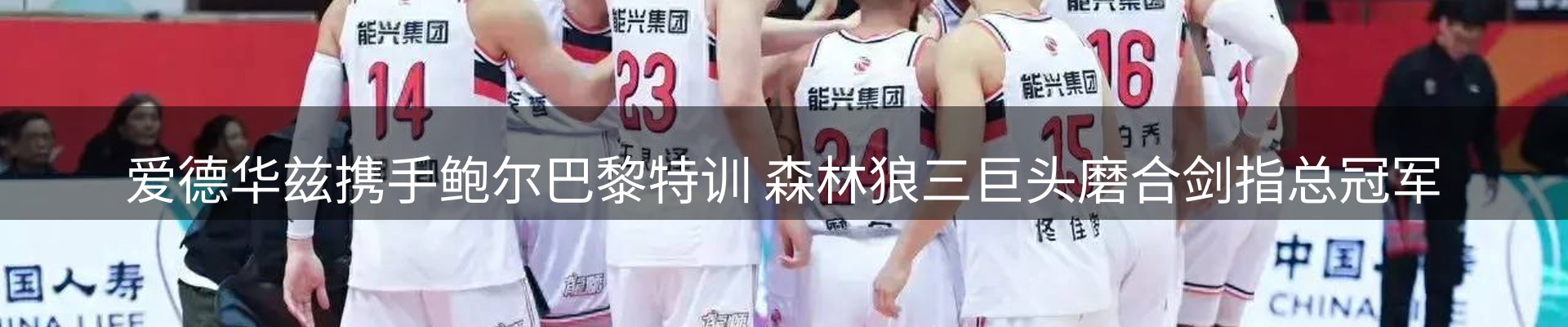 行业前瞻