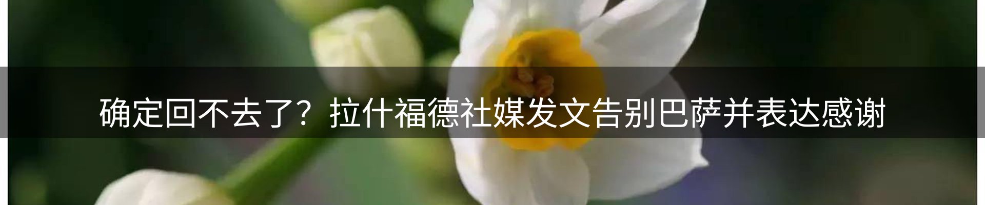 行业前瞻