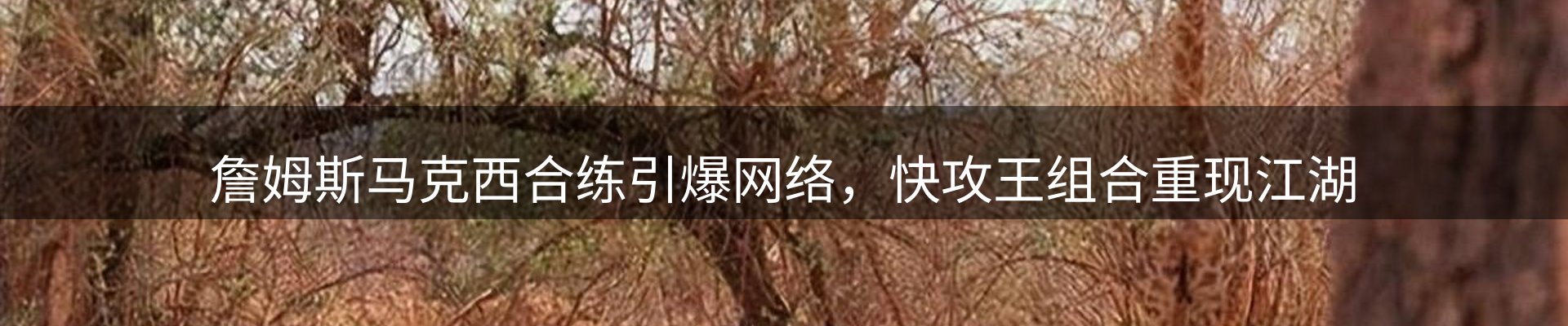 行业前瞻