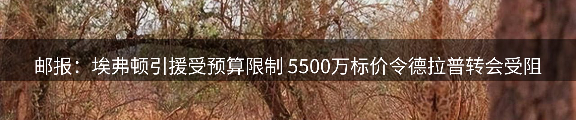 行业前瞻